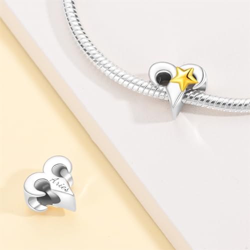 925 Sterling Silver 12 Astrological Signs Charm for Bracelets and Necklace Happy Birthday Charms for Bracelet and Necklace Valentine's Day Mother's Day Gift - style: Aries Charm