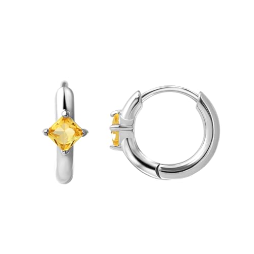 316L Surgical Steel Birthstone Hoop Earrings for Women | Lightweight, 5A Cubic Zirconia, Hypoallergenic, Lead & Nickel Free, 8mm Huggie Hoops - color: Silver: 11. November (Citrine)
