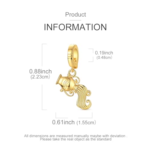 LAZA 925 Silver Charms for Bracelets and Necklaces Gold charms for Women | Summer Travel Party Lucky Zodiac Charms Clearance Pendant Beads Christmas Birthday Graduation Gift Jewelry for Women - color: Aquarius