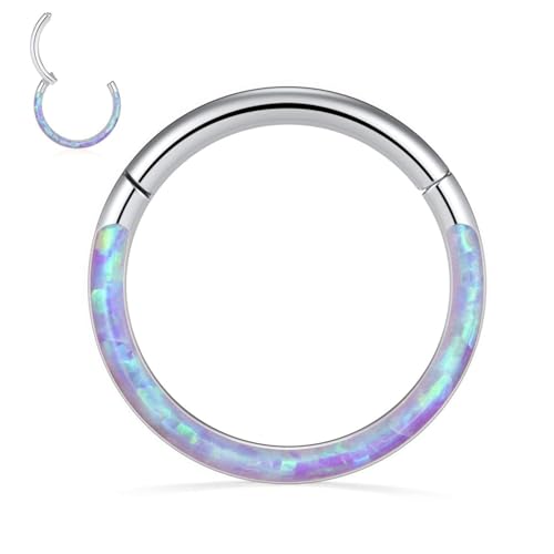 Opal Septum Jewelry Surgical Steel Septum Ring Daith Rook Tragus Earring | Hinged Segment Nose Hoop Ring,Hypoallergenic Septum Piercings for Women,Conch Cartilage Helix Jewelry,Diameter 6mm to 10mm - color: Silver,Purple Opal, size: 16G 8mm