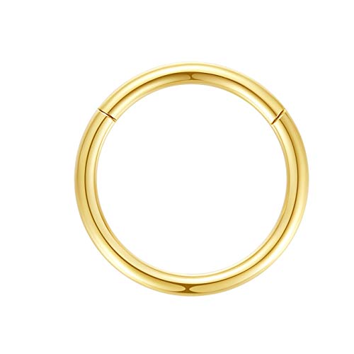 ORANGELOVE Hypoallergenic Nose Rings 20G 18G 16G 14G 12G 10G 8G 316l Surgical Steel Septum Jewelry Hinged Segment Ring Body Piercing Nose Hoop Lip Rings Nose Helix Cartilage Rook Earrings - color: Gold, size: 1pc 12 Gauge 12mm