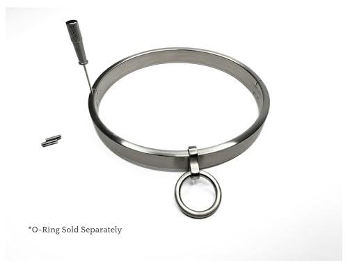 1/2" Flat Satin Stainless Steel Locking Eternity Collar - size: 16" (Inside Circumference)
