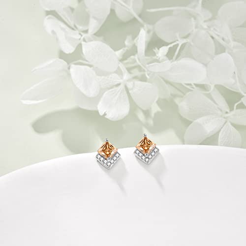 Birthstone Stud Earrings Sterling Silver Square Created Crystal Earrings Cubic Zirconia Hypoallergenic Piercing Jewelry Small Gifts for Women Mothers - color: Nov-Citrine