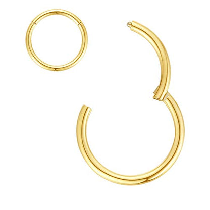 ORANGELOVE Hypoallergenic Nose Rings 20G 18G 16G 14G 12G 10G 8G 316l Surgical Steel Septum Jewelry Hinged Segment Ring Body Piercing Nose Hoop Lip Rings Nose Helix Cartilage Rook Earrings - color: Gold, size: 1pc 14 Gauge 10mm