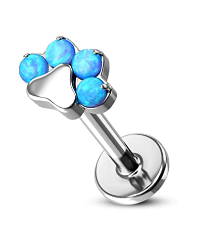 G23 Titanium Cartilage Earring Stud for Helix 16g Flat Back Dog Paw Cartilage Piercing Jewelry Front Top Screw Helix Tragus Earrings - color: Blue Opal Paw-8mm