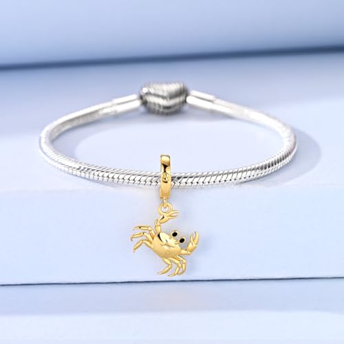 LAZA 925 Silver Charms for Bracelets and Necklaces Gold charms for Women | Summer Travel Party Lucky Zodiac Charms Clearance Pendant Beads Christmas Birthday Graduation Gift Jewelry for Women - color: Cancer