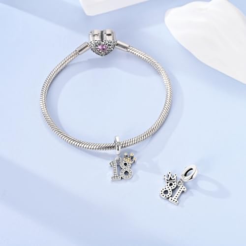 Hapour 925 Sterling Silver Charms for Bracelet Necklace Dangle Pendant Bead | Bear Charm, Elephant Zebra Cat Dream catcher Family Birthday European Jewelry Charm, For Women Mom - color: Silver CZ 18-shaped