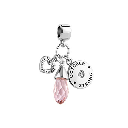 Women Charm for Bracelets Love Heart Dangle Silver Clear CZ Beads Birthstone Bracelet Charms for Daughter Women Wife, Blue Pink Clear - style: OCTOOBER