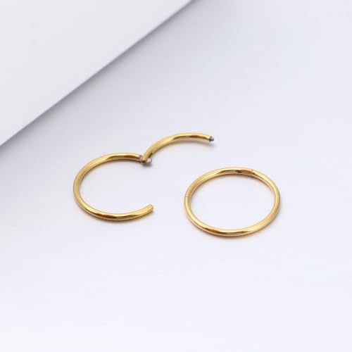 Nose Rings 20G 18G 16G 316L Surgical Steel Hinged Clicker Segment Nose Hoop Helix Cartilage Daith Tragus Sleeper Earrings Body Lip Piercing Jewelry for Women Men 6mm 7mm 8mm 10mm 12mm - style: 14:Silver+Gold-20G*7mm(4pcs)