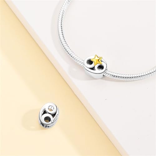 925 Sterling Silver 12 Astrological Signs Charm for Bracelets and Necklace Happy Birthday Charms for Bracelet and Necklace Valentine's Day Mother's Day Gift - style: Cancer Charm