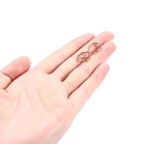 GAGABODY 2 Pcs Nose Rings 22G 20G 18G 16G 14G 12G 10G 8G Surgical Steel Piercing Rings for Nose Septum Cartilage Helix Tragus Conch Rook Daith Lobe from 5mm to 16mm Seamless Hoop Unisex Hinged Earrings - color: Rose Gold-Single&Double Hoop