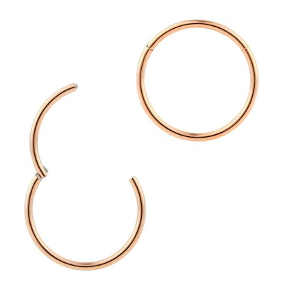 365 Sleepers 2Pcs G23 Titanium 18G (Standard Fit) Hinged Segment Ring Hoop – Implant Grade Nickel Free Septum Nose Lip Helix Tragus Earring Body Piercing Jewelry, 6mm- 13mm - style: 13mm Rose