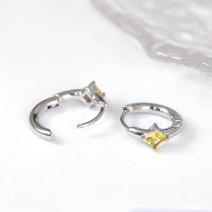 316L Surgical Steel Birthstone Hoop Earrings for Women | Lightweight, 5A Cubic Zirconia, Hypoallergenic, Lead & Nickel Free, 8mm Huggie Hoops - color: Silver: 11. November (Citrine)