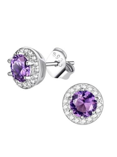 FindChic Birthstone Earrings for Women, Round/Heart/Square/Teardrop Earrings with 925 Sterling Silver Posts & Push Backs, Hypoallergenic Studs with Cubic Zirconia, 12 Months Jewelry with Gift Box - style: 02. February-Amethyst (Round)