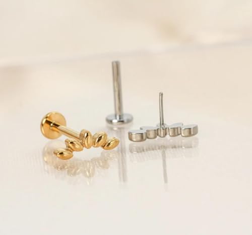 20G/18G/16G Flat Back Earrings Tiny Nose Stud, Cartilage Earring Threadless Tragus Helix Stud Conch Piercing Jewelry - color: Dot Climber (silver 2pcs), size: 18 gauge (1.0mm post)