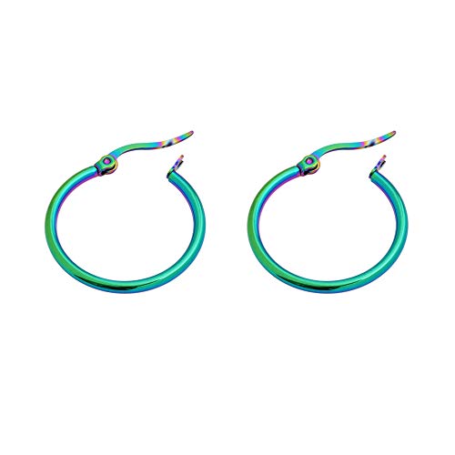Rounded Hoops Earrings (20mm-60mm Diameter) - color: Rainbow 20mm