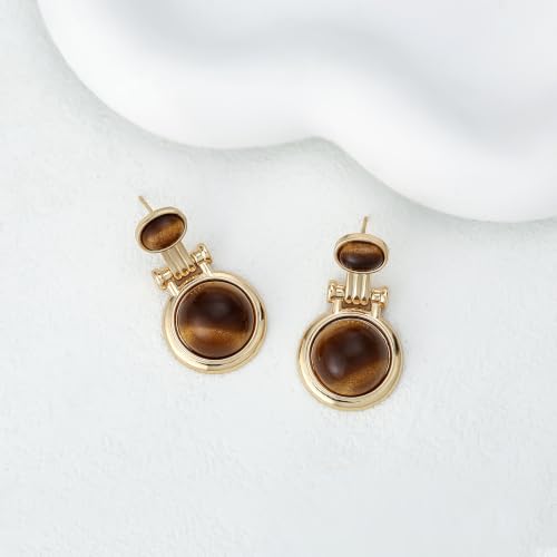 Dr's gift Chunky Leopard Print Earrings for Women 14K Gold Plated Statement Huggie Hoop Earrings Brown Acrylic Tortoise Resin Cheetah Trendy Jewelry - color: tiger tye