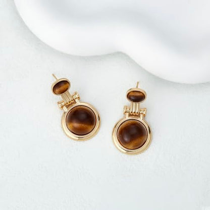 Dr's gift Chunky Leopard Print Earrings for Women 14K Gold Plated Statement Huggie Hoop Earrings Brown Acrylic Tortoise Resin Cheetah Trendy Jewelry - color: tiger tye