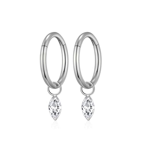 Ourania 16G Gold Stainless Steel Zircon Dangle Huggie Hoop Rook Piercing Helix Hoop Earring Tragus Hoop Cartilage Piercing for Women - color: Eyes Silver 2PCS, size: 1.2*8mm 2pcs