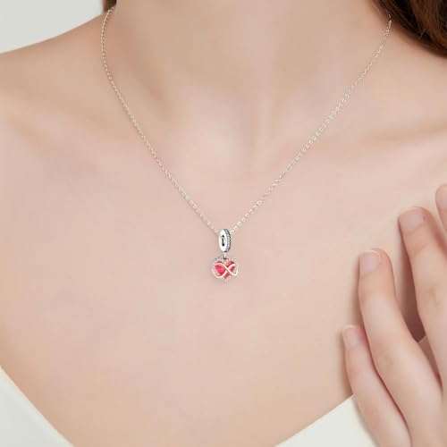 10 Pack Silver Bead Charms Compatible with Charms Bracelet Necklace, Silver Charms for Bracelets for Women, the Pendant Dangle Beads with Cubic Zirconias Are the Perfect Jewelry Gift for Women, Ideal for Christmas, Birthdays, Mother's Day, and Valentine's