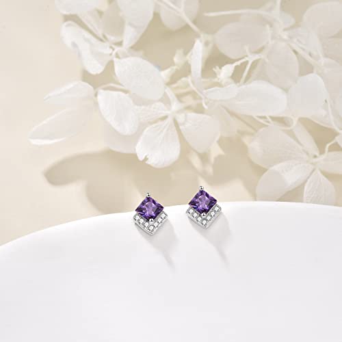 Birthstone Stud Earrings Sterling Silver Square Created Crystal Earrings Cubic Zirconia Hypoallergenic Piercing Jewelry Small Gifts for Women Mothers - color: Feb-Amethyst