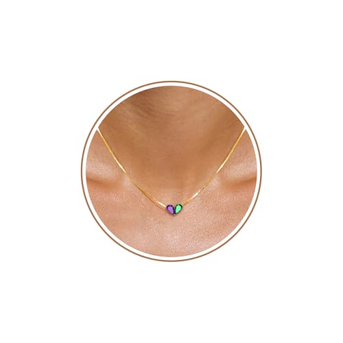 2026 Graduation Gifts Birthstone Necklace for Women Dainty Gold Necklace with 2 Birthstone Birthday Gift for Her Teen Girl Gift Trendy Stuff for Her Mom Daughter Girlfriend Friend Christmas Stocking Stuffers - color: 02-05 Feb & May, style: Heart