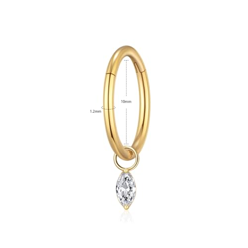 Ourania 16G Gold Stainless Steel Zircon Dangle Huggie Hoop Rook Piercing Helix Hoop Earring Tragus Hoop Cartilage Piercing for Women - color: Eyes Gold 2PCS, size: 1.2*10mm 2pcs