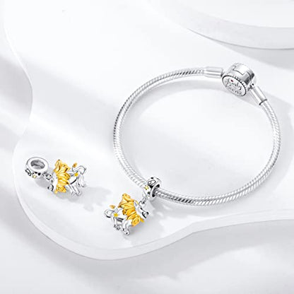 Zodiac Sign Charms for Bracelet Necklace 925 Sterling Silver Charms 12 Constellation/Horoscope Star Dangle Birthstone Beads, Birthday Jewelry Gifts for Women Men - color: Zodiac Leo(7.23～8.22)