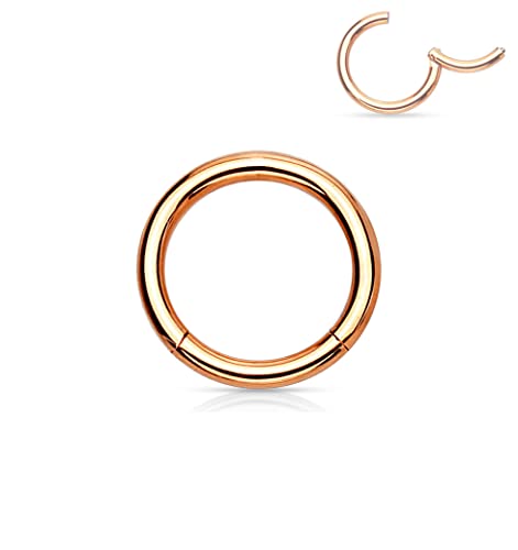 Forbidden Body Jewelry 316L Surgical Steel Hinged Seamless Nose Rings Hoop 14G 16G 18G, Diameter 6mm 8mm 10mm 12mm, Gold/Rose Gold/Silver/Black/Rainbow Colors. - style: 14g 6mm - Rose Gold