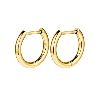 AOEDEJ G23 Titanium Black/Steel Gray/Gold Hoop Earrings 18G Small Huggie Hoop Earrings 8mm/10mm/12mm Cartilage for Sensitive Ears for Multiple Piercing Cartilage Hoop Earring Stack Jewelry - style: D-GD-10mm