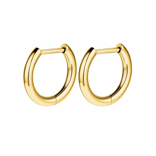 AOEDEJ G23 Titanium Black/Steel Gray/Gold Hoop Earrings 18G Small Huggie Hoop Earrings 8mm/10mm/12mm Cartilage for Sensitive Ears for Multiple Piercing Cartilage Hoop Earring Stack Jewelry - style: D-GD-10mm