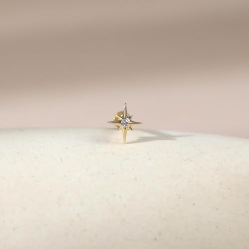 Flat Back Stud Cartilage Earrings Tragus Helix Piercing Jewelry Titanium | Conch Nose Piercing,Small Tiny Studs for Women,Threadless/Internally Threaded,Surgical Steel,Hypoallergenic,16G/18G/20G - color: Silver02-Starburst (6mm*1+8mm*1), size: Threadless-