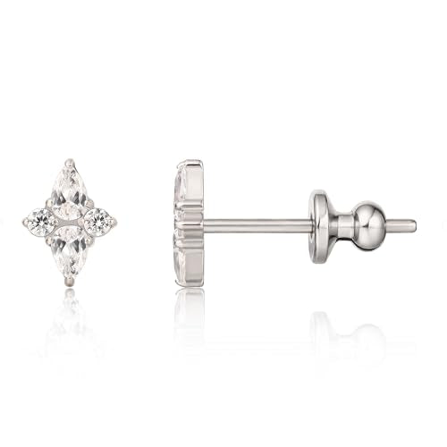 Limerencia F136 Implant Grade Titanium Cubic Zirconia Women Stud Earrings | 20G Hypoallergenic medical grade titanium earrings,G23 Small Dainty Earrings for Women's Sensitive Ears Lobes
