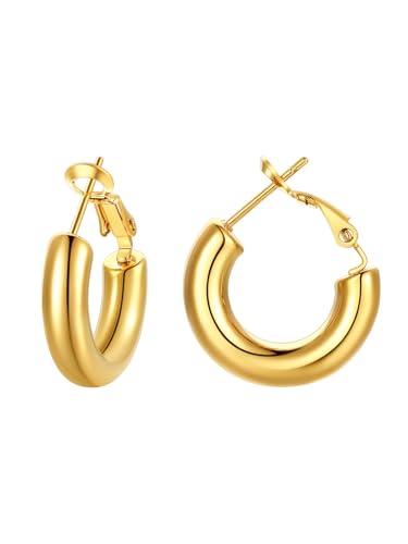 FindChic Hoop Earrings for Women, Silver/Black/14K Gold Plated Hypoallergenic Hollow Round Tube Loop Earrings, 20mm/30mm/40mm/60mm/80mm Chunky Hoops with Custom Name Options & Gift Box - color: c.Gold, size: 20MM