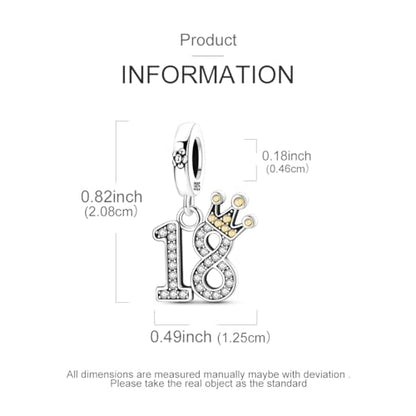 Hapour 925 Sterling Silver Charms for Bracelet Necklace Dangle Pendant Bead | Bear Charm, Elephant Zebra Cat Dream catcher Family Birthday European Jewelry Charm, For Women Mom - color: Silver CZ 18-shaped
