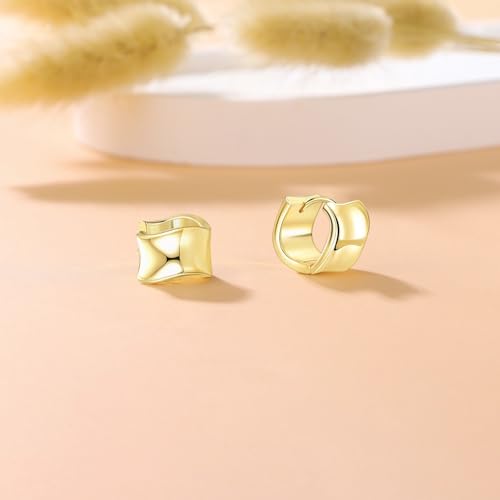 925 Sterling Silver Hoop Earrings for Women Chunky Small Huggie Earrings | Hypoallergenic Lightweight Huggy Earrings Crafted with 925 Sterling Silver Posts Fashion Jewelry Gifts - color: Gold
