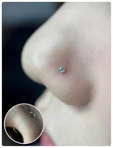 20G 18G 16G Threadless Lip Labret Medusa Monroe Nose Piercing Jewelry Surgical Steel Snake Bites Lip Rings Flat Back Push in Cartilage Tragus Helix Conch Earring Stud 6mm 8mm 10mm Bars - color: Gold-16G（1.2mm) - Bars:6mm - Hinged Clicker Rings:8mm 10mm