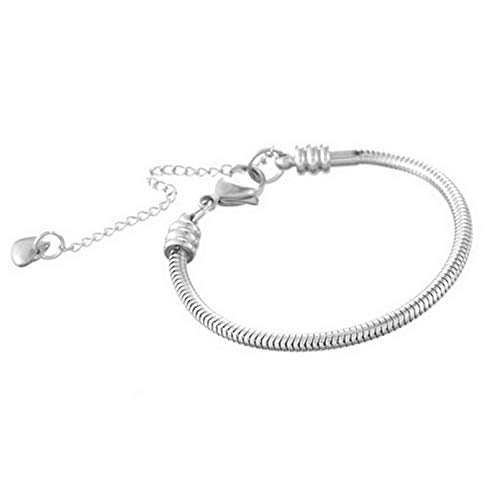 Women Snake Chain Charms Bracelet Moments Slider Love Memorial Stainless Steel Bracelet fit Charm Beads, 6 Inch