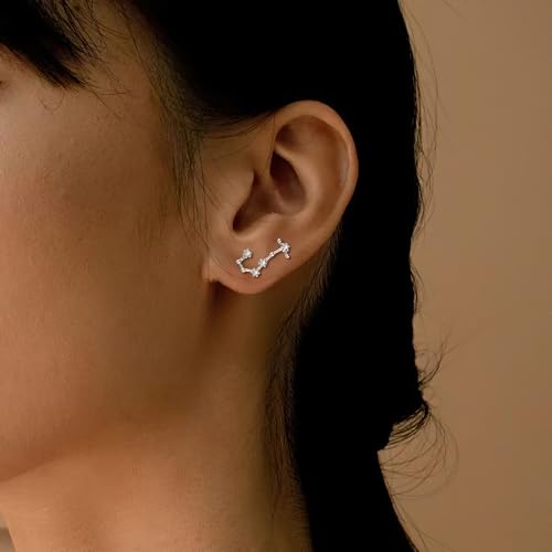 925 Sterling Silver CZ Horoscope Zodiac 12 Constellation Astrology Ear Crawler Post Earrings Gift for Mom Women Mothers Day/Valentines Day/Birthday/Christmas/Anniversary - style: Scorpio (Oct 23 - Nov 21)