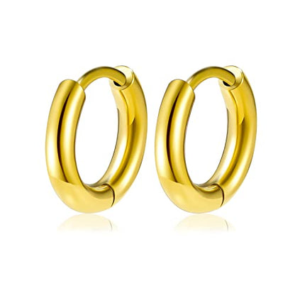 Titanium Huggie Hoop Earrings Hypoallergenic Nickel Free Hinged Sleeper Earrings for Sensitive Skin Cartilage Helix Lobes - style: Huggie 8mm gold