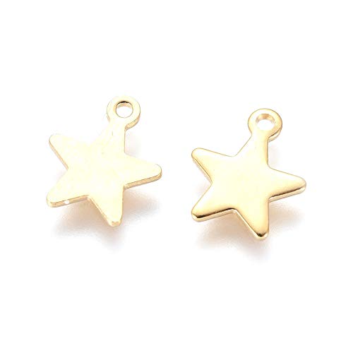 Mega Pet 200pcs Stainless Steel Star Pendants Charms Golden Celestial Star Jewelry Charms DIY Accessories for Bracelets Necklaces Jewerly Making - size: 10x8x0.8mm#Star