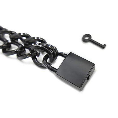 Succuba Padlock Necklace Metal Chain Collar Choker Heart Lock Necklace with Key and Box for Women, Men and Pet (16 to 22 Inches) - color: H