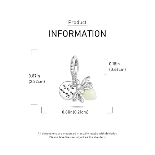 925 Sterling Silver Charms Pendants Mom Heart Dog koi fish Sea Turtle Football Charms for bracelet Pendants Beads Mom Sister Wife Family, Friends, Birthday gifts - style: Firefly Pendant