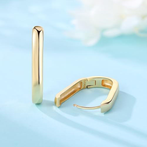 Floral Hoop Earrings 925 Sterling Silver with 14K Gold Plating – Lightweight CZ Flower Hoops | Hypoallergenic Jewelry for Women | Gift Box + Polishing Cloth - color: A-24mm gold earrings