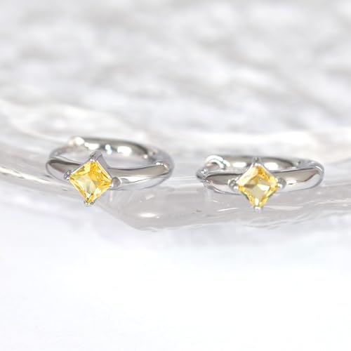 316L Surgical Steel Birthstone Hoop Earrings for Women | Lightweight, 5A Cubic Zirconia, Hypoallergenic, Lead & Nickel Free, 8mm Huggie Hoops - color: Silver: 11. November (Citrine)