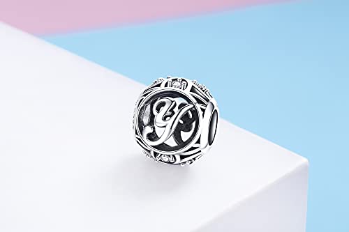 Letter Charms 925 Sterling Silver Initial A-Z Bead Charms | For Bracelets Necklaces, Hypoallergenic,Cubic Zirconia Alphabet Beads, Personalized Gifts for Women - color: Y