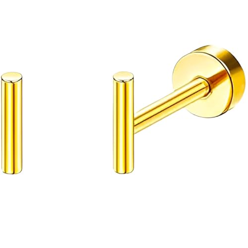 Stainless Steel Stud Earring 1 Pair Gold Flatback Earrings Hypoallergenic Screwback Jewellery Flat Back Helix Jewelry for Sensitive Ears Women Ladies Aretes De Mujer - style: Cylinder