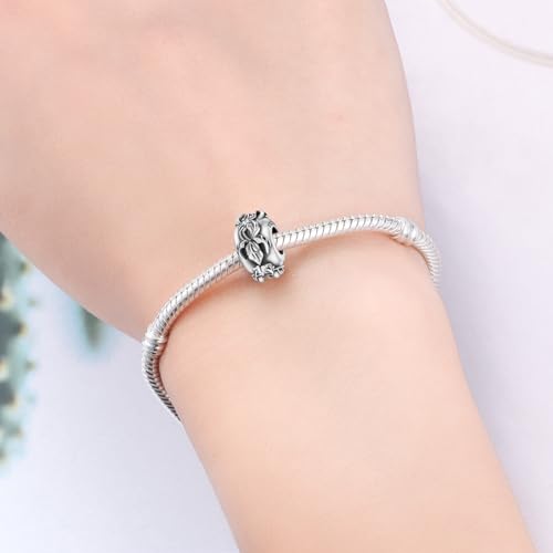 Spacer Stopper Beads for Bracelets & Necklaces, 925 Sterling Silver Beads | Smooth & Pave Cubic Zirconia (White, Blue, 18K Gold Plated) | Anti-Slide Separator Charms S925 Women Jewelry - color: 2Pcs Iris Spacer