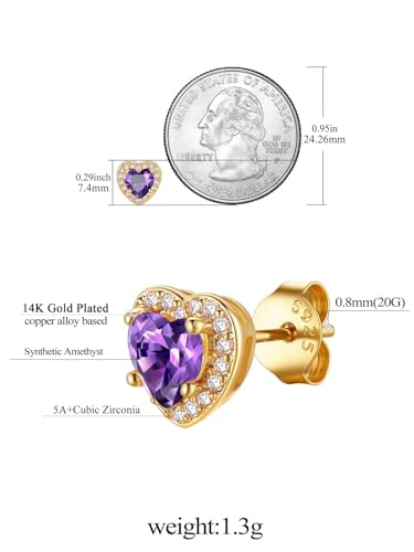 FindChic Birthstone Earrings for Women, Round/Heart/Square/Teardrop Earrings with 925 Sterling Silver Posts & Push Backs, Hypoallergenic Studs with Cubic Zirconia, 12 Months Jewelry with Gift Box - style: 02. February-Amethyst (Heart-Gold)