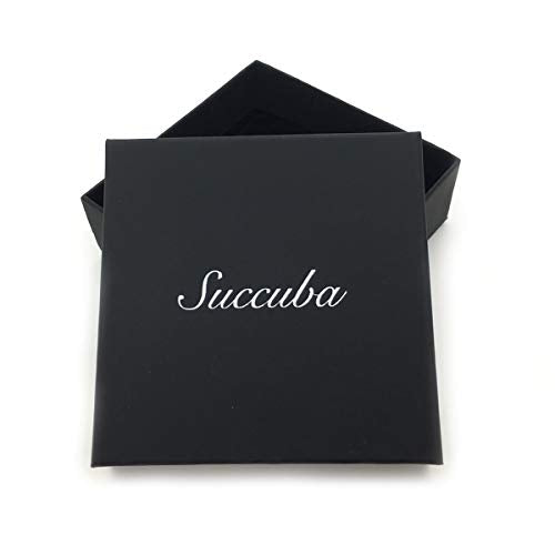 Succuba Padlock Necklace Metal Chain Collar Choker Heart Lock Necklace with Key and Box for Women, Men and Pet (16 to 22 Inches) - color: B